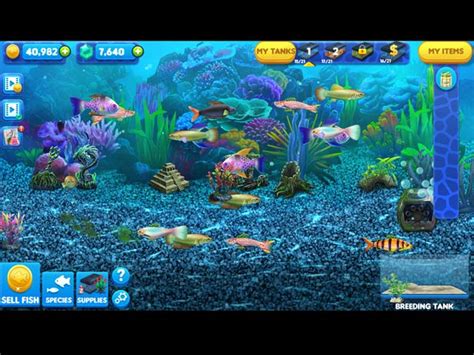 fish tycoon|Fish Tycoon > iPad, iPhone, Android, Mac & PC Game .